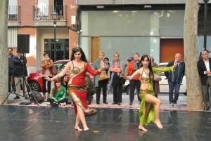 Día de la Danza 2015